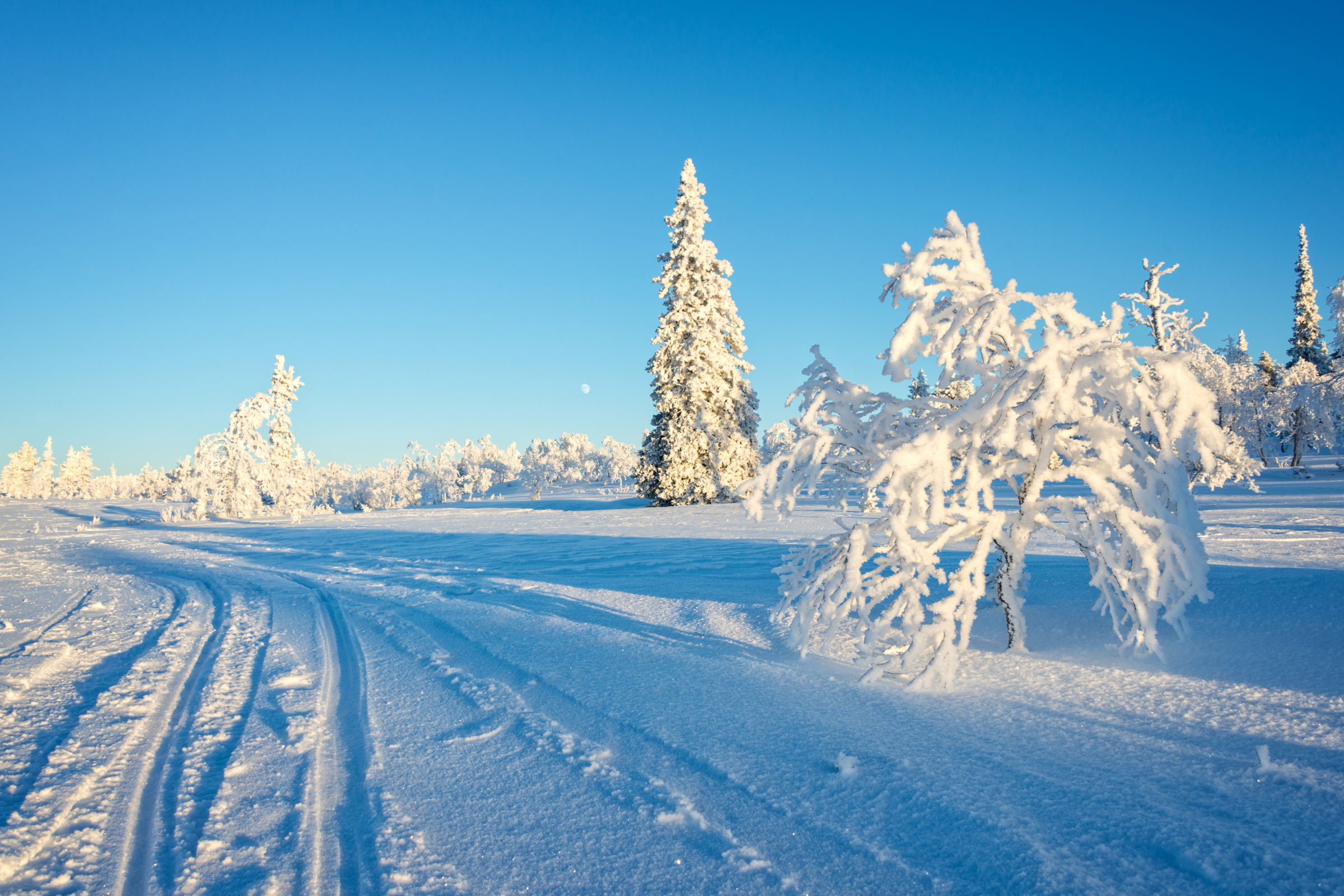 saariselkä (3).webp